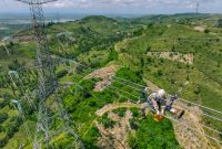 Ilustrasi petugas PLN yang sedang melakukan pemeliharaan jaringan transmisi.