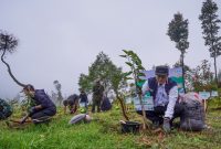 Wakil Bupati Banjarnegara Wakhid Jumali Lc melakukan penananaman pohon di kawasan Telaga Dlingo, Ia menegaskan pentingnya menjaga DAS Serayu demi keberlangsungan hidup masyarakat dari hulu hingga hilir.(foto/Doc. DAS)