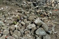 Talud senilai Rp 200 juta yang baru dua pekan selesai pengerjaan ambruk. Fot: istimewa